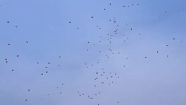 28 марта День памяти и скорби по погибшим при пожаре в городе Кемерово. сл.Большая Мартыновка смотреть онлайн