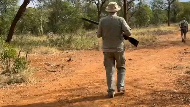 САФАРИ ЮАР 2023