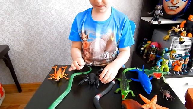 Моя коллекция животных/серия 3/насекомые,змеи смотреть онлайн