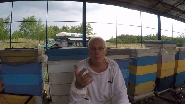 Август на пасеке Что должен сделать пчеловод в первую очередь смотреть онлайн