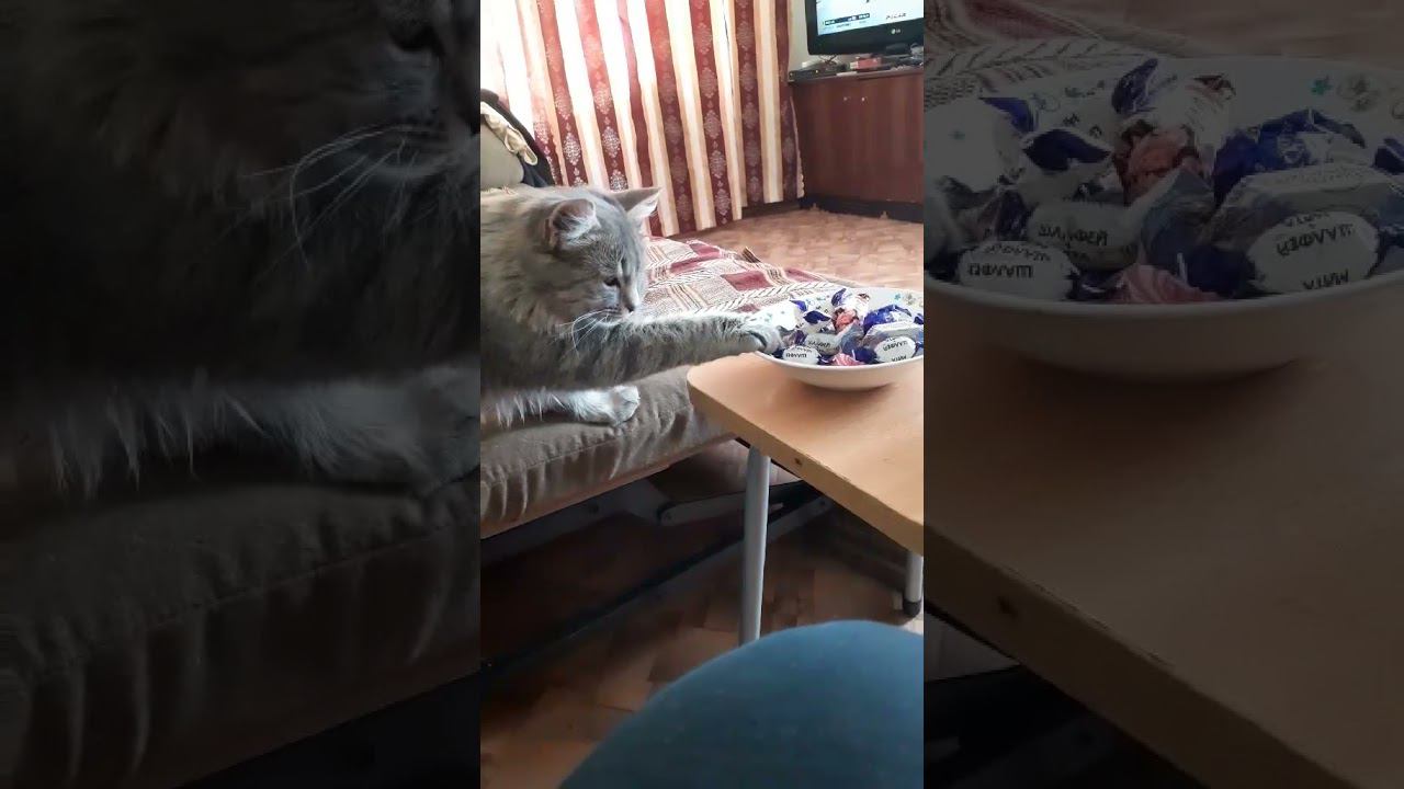 ах, как хочется конфетку... смотреть онлайн