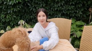 Щенок Мальтипу и пудель! В чем отличие?