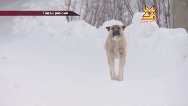 Ялта та кичем мар смотреть онлайн