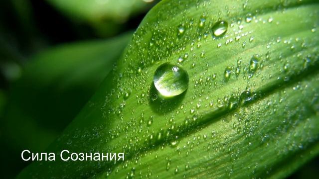 Мантра - Сатьям Шивам Сундарам смотреть онлайн