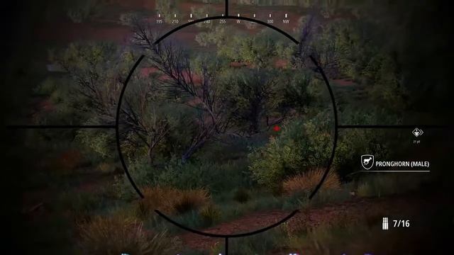 How To Efficiently Hunt In The Bandera Region! - Hunting Simulator 2