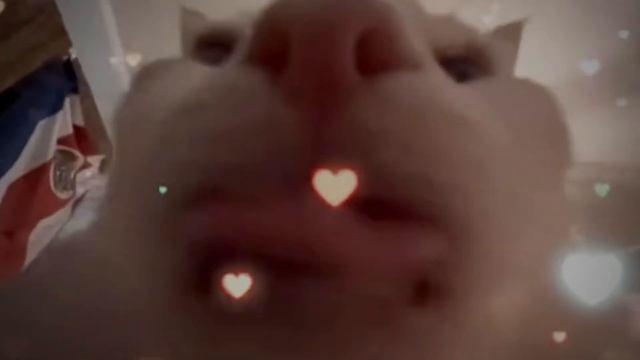 САМЫЙ ЧЕСТНЫЙ ОБЗОР НА PALWORLD!