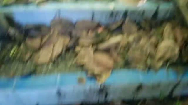 abandonadong resort sa naguilian la union смотреть онлайн