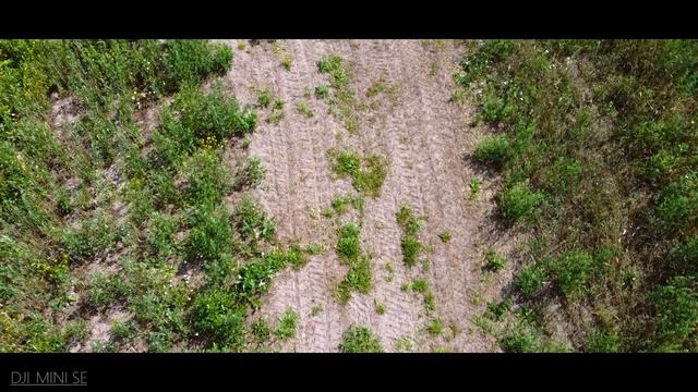 полет на DJI MINI SE смотреть онлайн