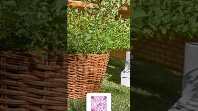 Садовая мебель из ротанга Валерия Украина