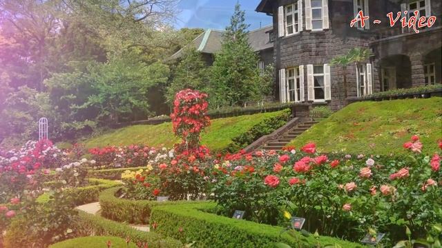 ?Примеры садовых участков с красивым ландшафтным дизайном / Examples of landscape design / A - Vide смотреть онлайн