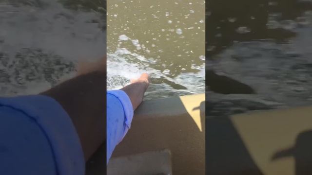 Там, где Волга впадает в Каспийское море смотреть онлайн