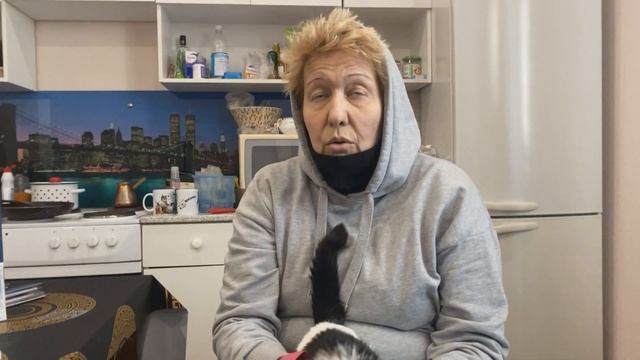 Бабуся приехала на обследование【КОТОНОВОСТИ! 31.03.21】 смотреть онлайн