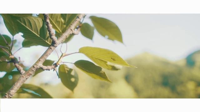 【cinematic Vlog】【お散歩】Take A Walk With Mom