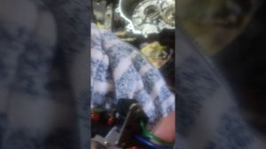 замена генератора цф мото 500