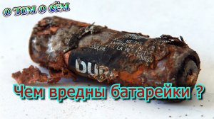 Чем вредны батарейки