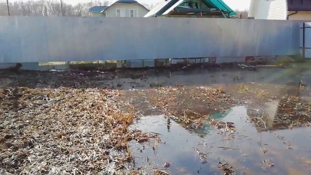 озеро на даче) смотреть онлайн