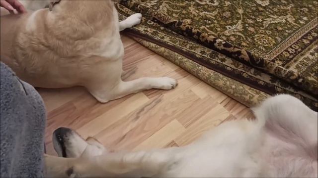Что наша жизнь? Игра! смотреть онлайн