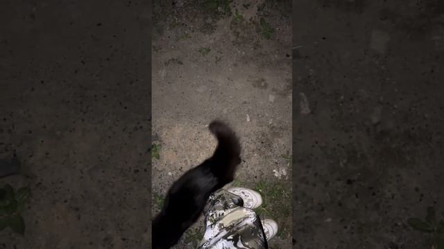 Как почистить телефон, не потеряв видео (лайфхак в описании) смотреть онлайн