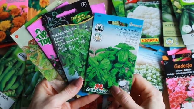 БЕСПОДОБНЫЙ СПОСОБ ВЫРАЩИВАНИЯ БАЗИЛИКА ДОМА / БЕЗ ПИКИРОВКИ / СУПЕР СПОСОБ ! смотреть онлайн
