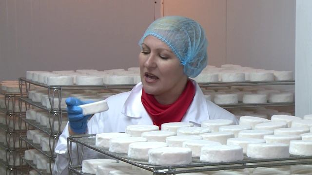 ООО Мега-Мастер сыродельный комбинат смотреть онлайн