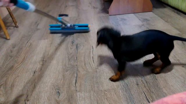 Хотел помыть полы смотреть онлайн