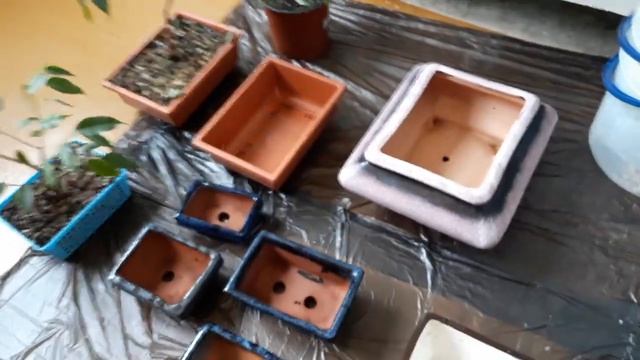 Плошки для "бонсай" и композиций из суккулентов смотреть онлайн