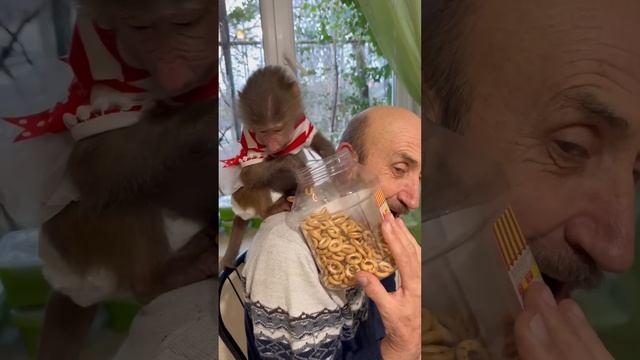 #shorts У Люськи НОВАЯ ЗАБАВА, достань нижний бублик! смотреть онлайн