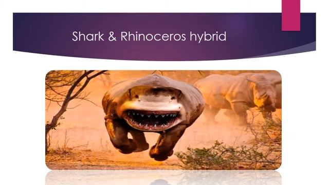 TOP 10 Animal HYBRIDS - Photoshop смотреть онлайн