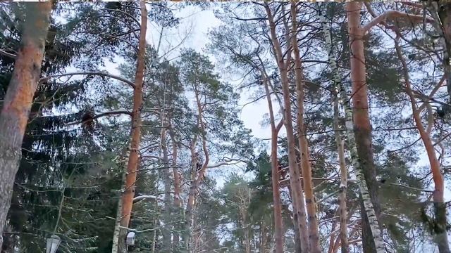 По пути с Елизаветой Паллади. Усадьба Поленова. смотреть онлайн