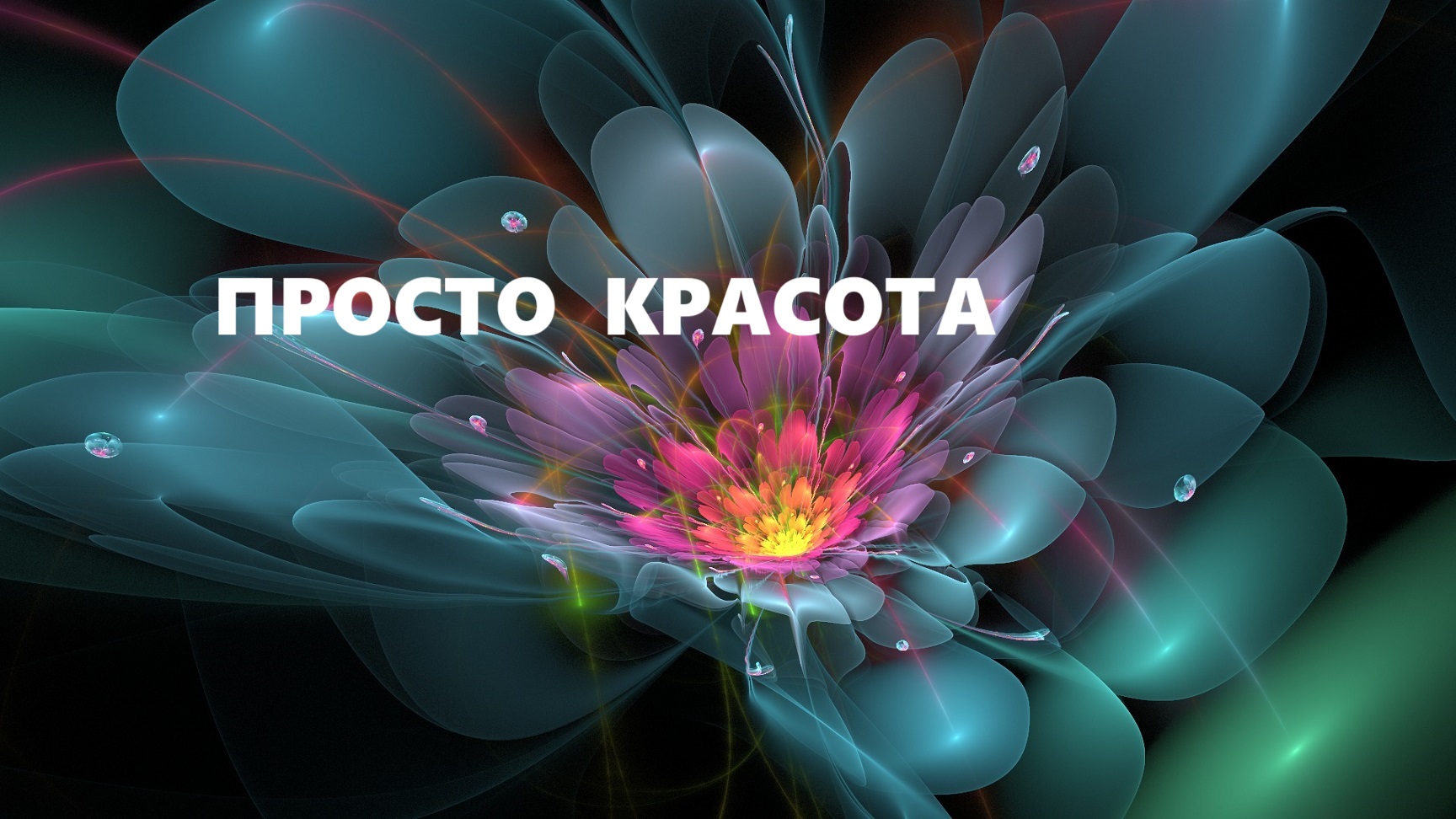 Сумка антипакет.Сумки своими руками.(2023г) смотреть онлайн