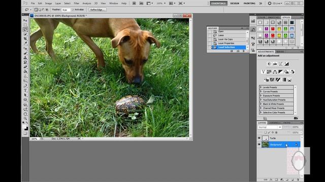 Move an Object in a Photo using Photoshop CS5 смотреть онлайн