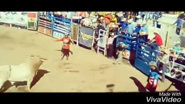 ANTONIO SILVA vs LUZ DE SOL "Super Bull" 2017 смотреть онлайн