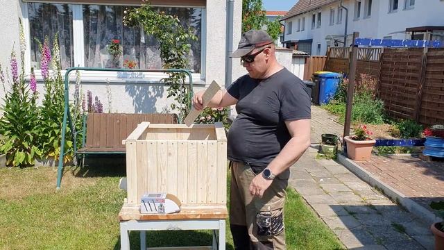 сундук из дерева смотреть онлайн