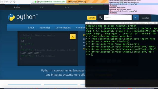 selenium python смотреть онлайн