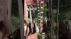 Как мы выставляем высев на суданку для СЗС-2,1на дт 75