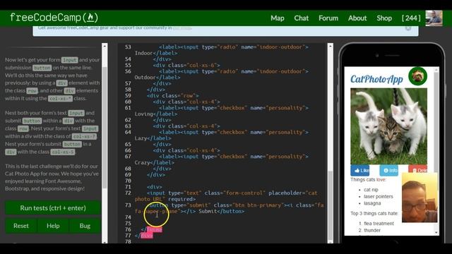 Line up Form Elements Responsively with Bootstrap, freeCodeCamp Bootstrap Review, lesson 18 смотреть онлайн
