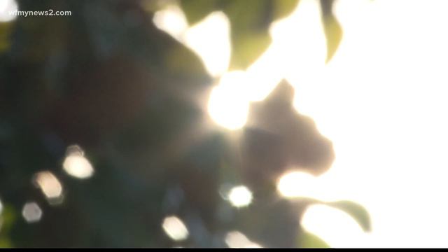 Celebrating Black History Month at the Historic Magnolia House in Greensboro смотреть онлайн