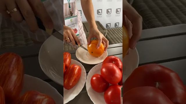 Великолепный богатый вкус томатов серии Вкуснотека?Томат Бизон Оранжевый | обзор Усадьба-Семена смотреть онлайн