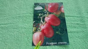 Проверенные Сибирью! Сладкие, крупные, детерминантные сорта томатов. Часть 1.