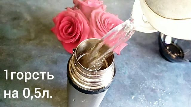 ТРУТОВИК ДУБОВЫЙ.Buglossoporus (piptoporus)quercinus.Описание,полезные свойства. смотреть онлайн
