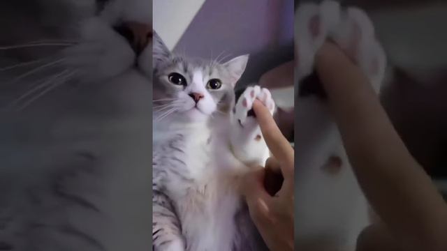 Поймал волну смотреть онлайн