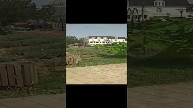 Без названия смотреть онлайн