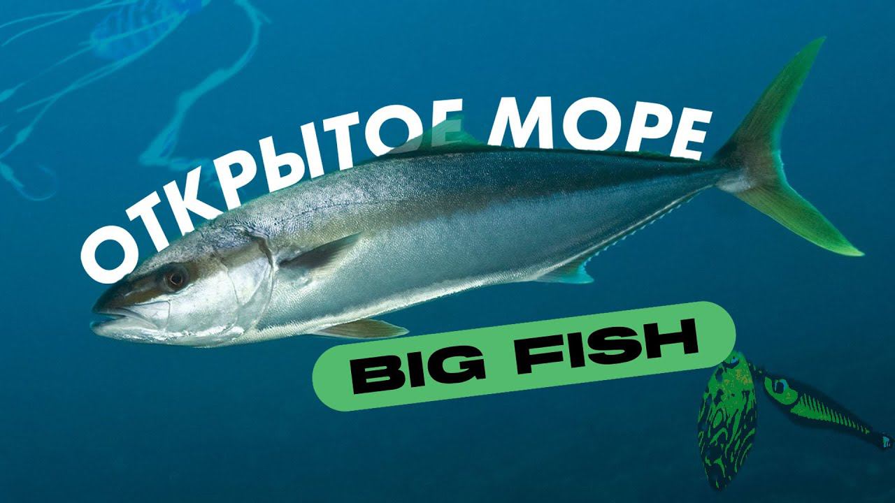 Открытое Море 2022 | Наш дебют на соревнованиях смотреть онлайн