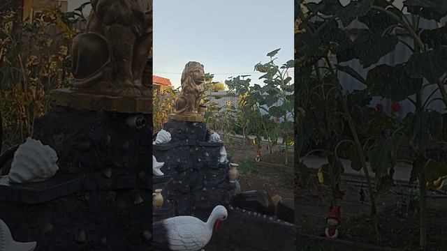 пруд смотреть онлайн