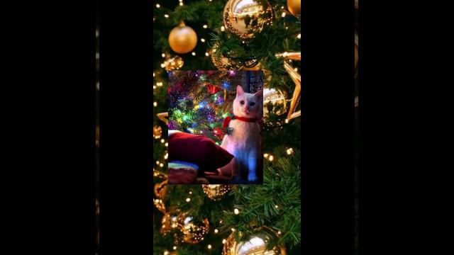 [🎄]Новогодние арты(фото) с КВ[🎄] смотреть онлайн