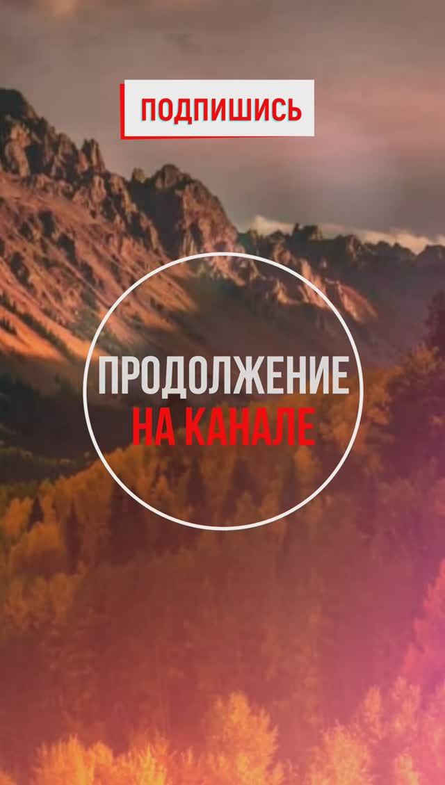 Ночь скоро, а дочери всё нет. А ты всё книжки читаешь... #shorts смотреть онлайн