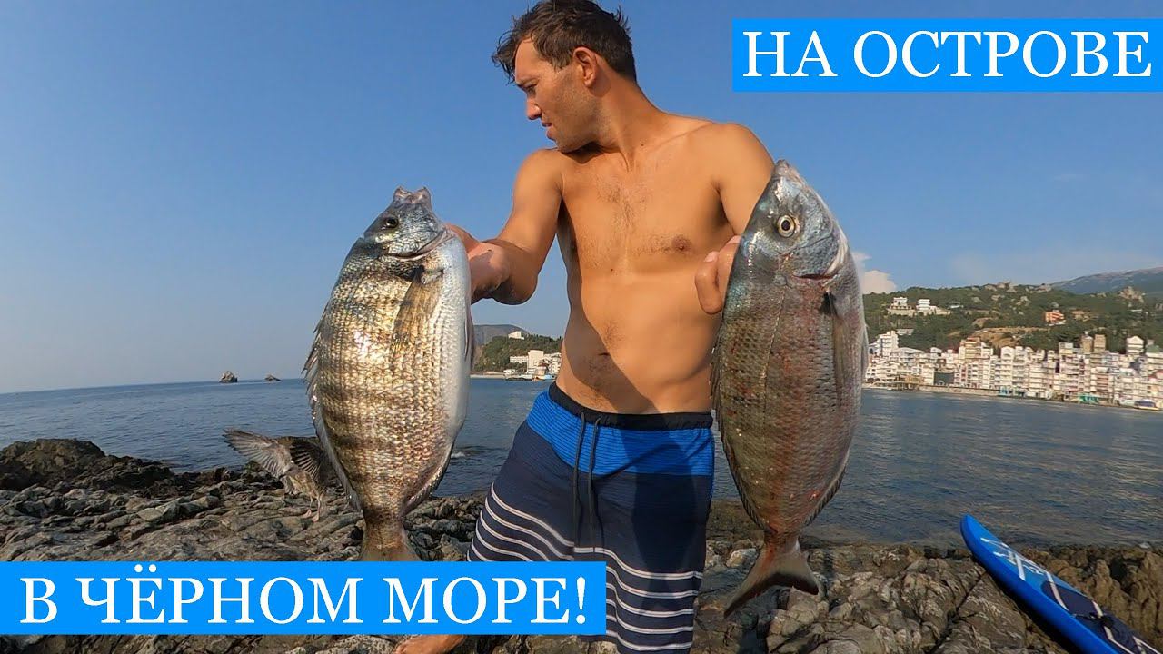 Ночёвка на ОСТРОВЕ с ручной ЧАЙКОЙ! Первый полет, рыбалка, нырялка, шквал, костер и морской коктейль смотреть онлайн