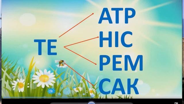 Буква Тт та звук [Т] смотреть онлайн