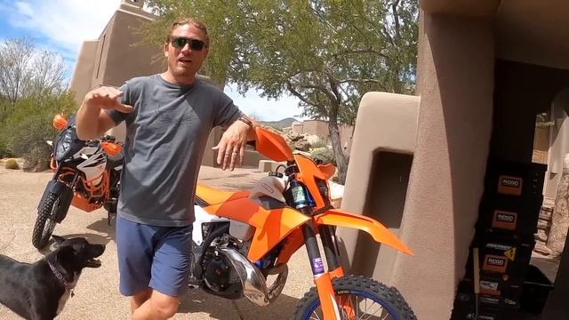 The Dog Finds a Rattlesnake смотреть онлайн