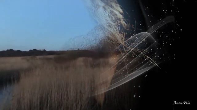 Л. ВЕЛИКАНОВА Очарованная странница... смотреть онлайн